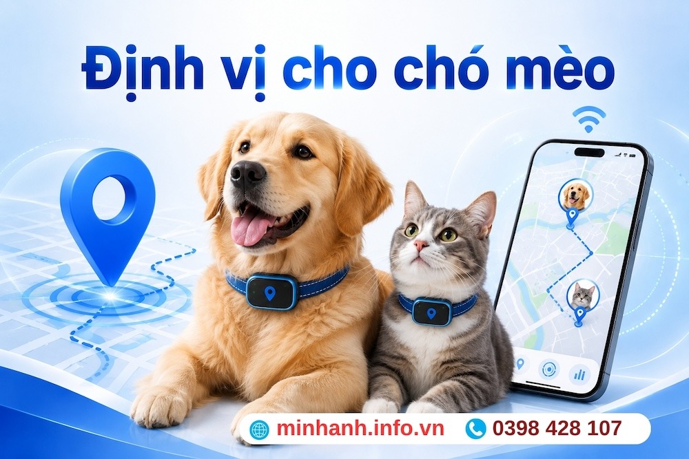 định vị cho chó mèo